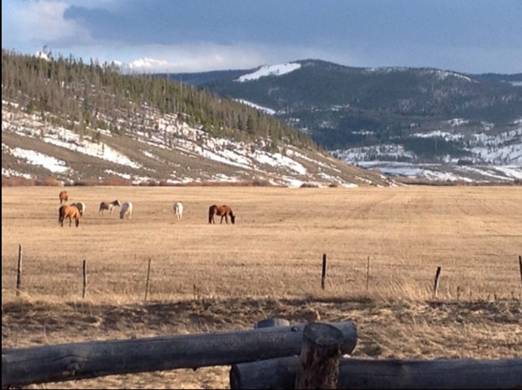 granby ranch horses